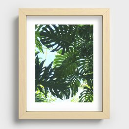 The Jungle Above Recessed Framed Print
