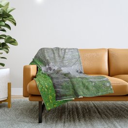Birch Grove and Wildflowers Throw Blanket