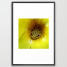 Frog Series: Tucked in Sunshine Framed Art Print