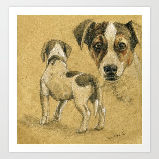 Jack Russel terrier SK080 Art Print