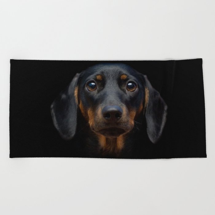Dachshund dog full face Beach Towel by coolstuff71 Society6