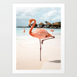 Pink Flamingo Beach Summer Photo | Aruba Tropical Island Art Print | Caribbean Travel Photography Art Print