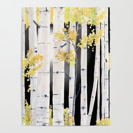 Birch Tree Poster