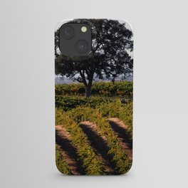 Paso Robles Vineyard iPhone Case
