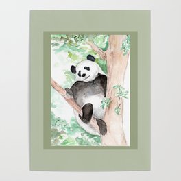Panda, Hanging Out Poster