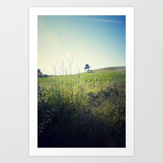 Natural Art Print