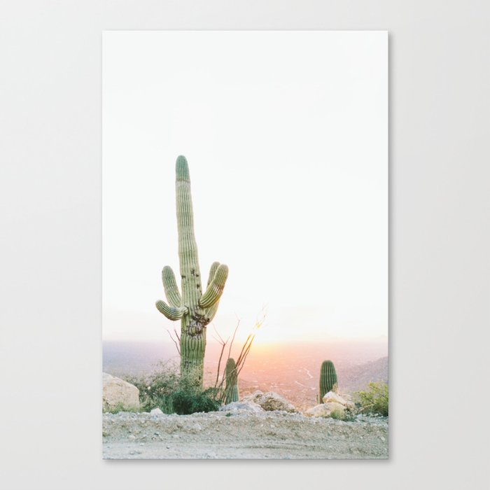 Saguaro Print Cactus Print Botanical Print Desert Print Desert Art Cactus Wall Art Arizona Canvas Print By Itspaulina Society6