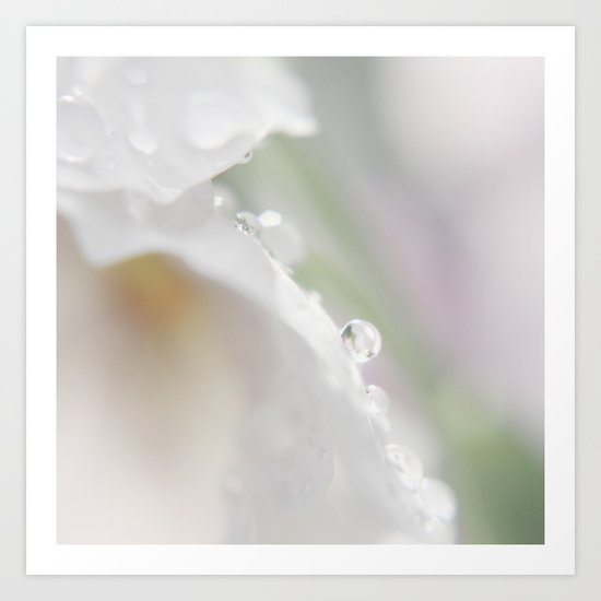 Tiny pearls Art Print