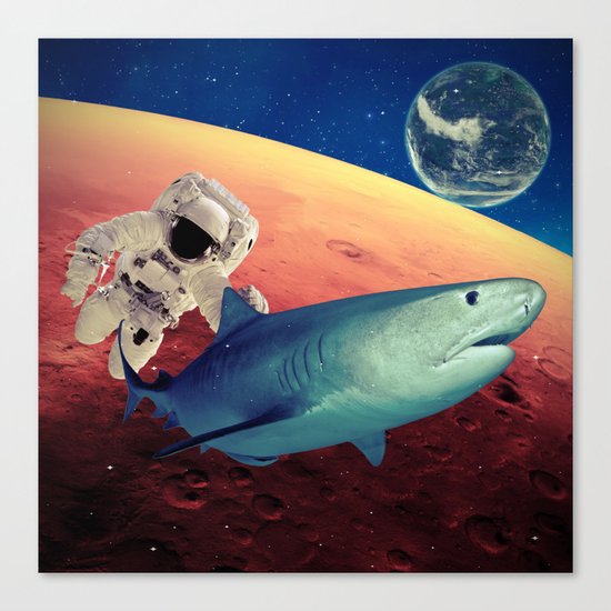 Shark Canvas Print