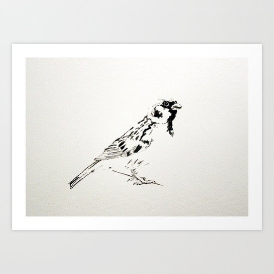 Sparrow Art Print