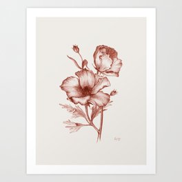 Red Poppy Flower  Art Print