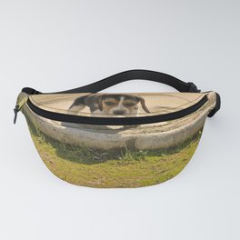 Two Months Old Beagle Puppy Dog 68 Fanny Pack