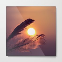 Sunset Feathers Metal Print
