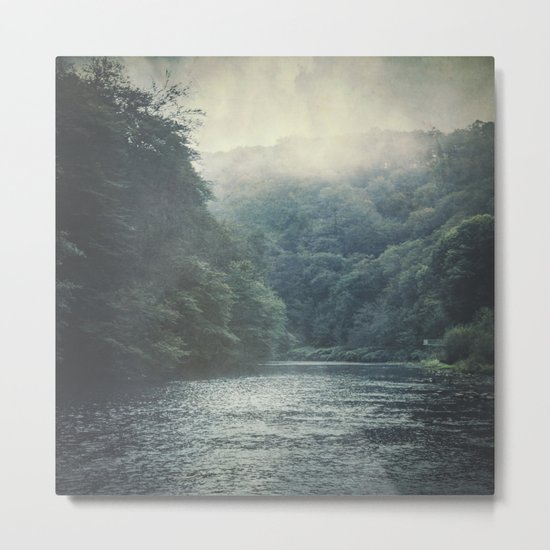 valley and river Metal Print