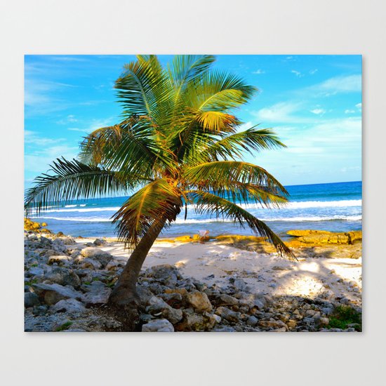 Mexican Palm Canvas Print