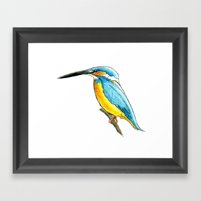 River Kingfisher Framed Art Print