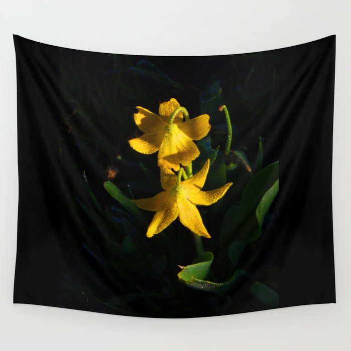 Glacier National Park Glacier Lilies Botanical Photography Floral Print Yellow Flowers Wall Tapestry By Lcapplingphotoart