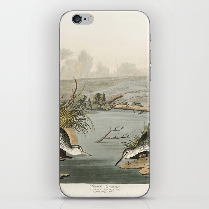 Spotted Sandpiper from Birds of America (1827) by John James Audubon  iPhone Skin