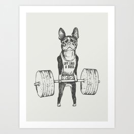 Boston Terrier Lift Art Print