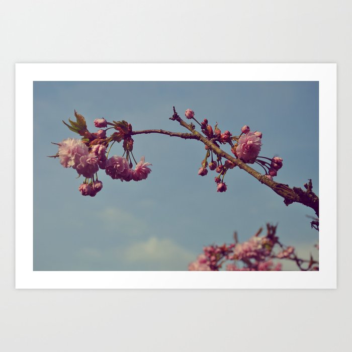 spring blossom Art Print