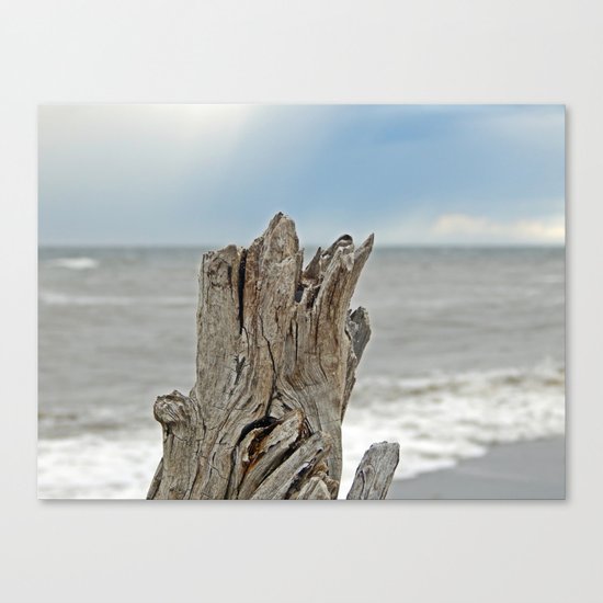 Looking past the Driftwood Canvas Print
