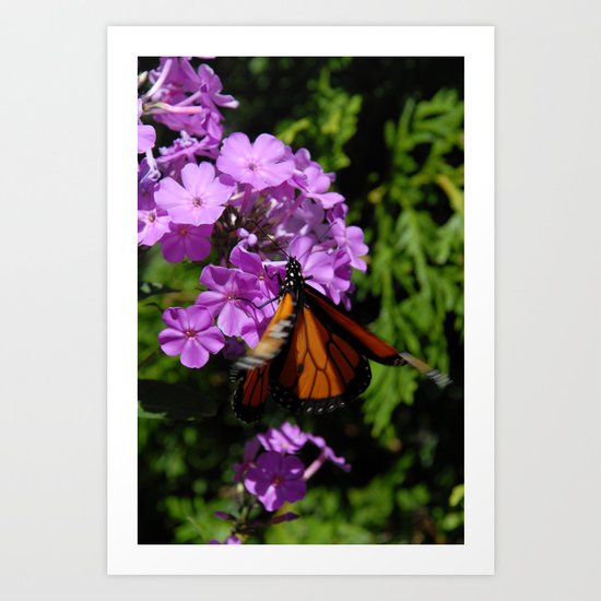 Fluttering By Art Print
