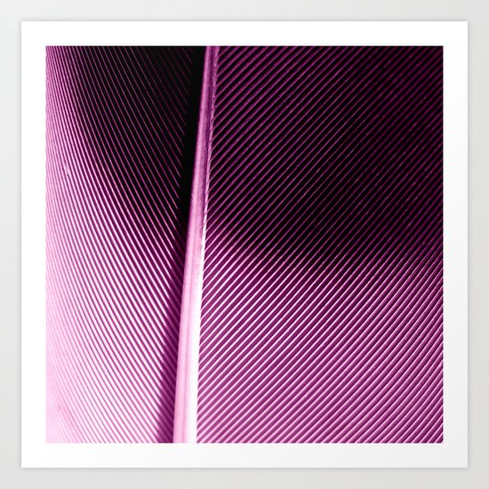 feather II Art Print