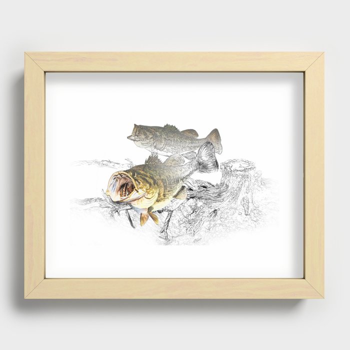 Largemouth Black Bass Fishing Art Recessed Framed Print by Randy
