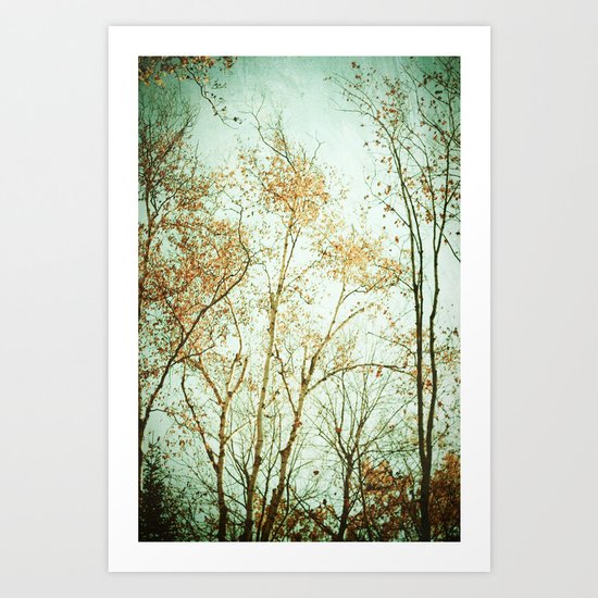 Overhead Art Print