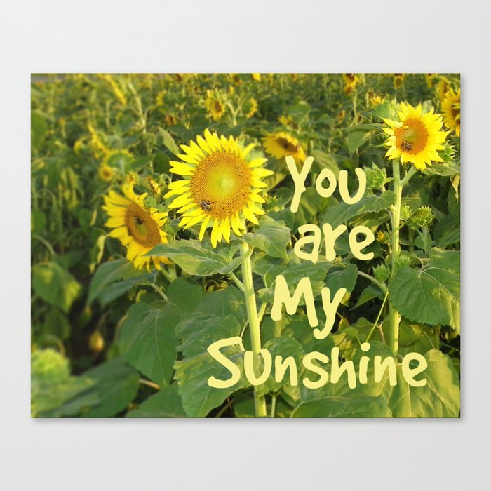 Sunflower Art You Are My Sunshine Art With Bees Canvas Print