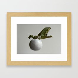 White Apple Framed Art Print