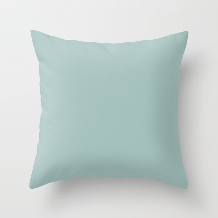 Aqua green hotsell pillows