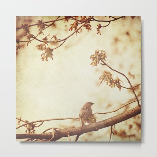 Morning Song Metal Print