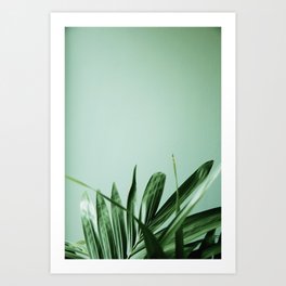 Backdrop Art Prints Society6