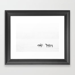 Snow Angels - Winter Horse Photography Framed Art Print