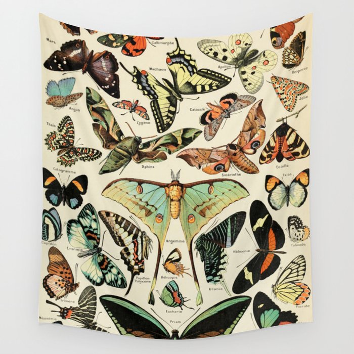 French Vintage Butterflies Chart Adolphe Millot Papillons Larousse Pour Tous Cozy Boho Maximalist Wall Tapestry