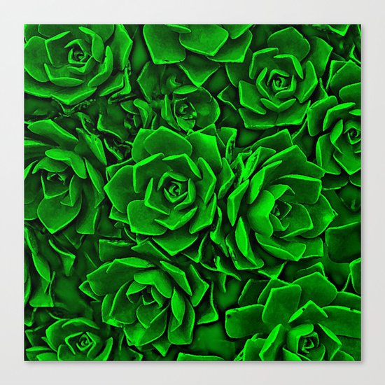 Succulent Green Canvas Print