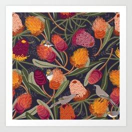 Australian Banksia Art Print