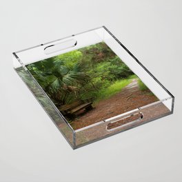 Bench in the Woods Acrylic Tray