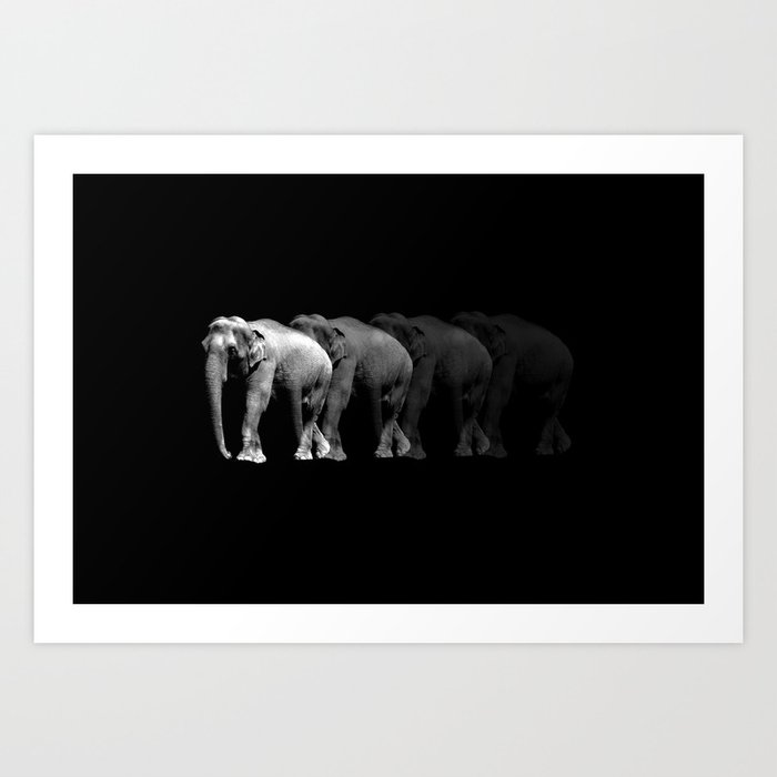 Elephant Trails Art Print
