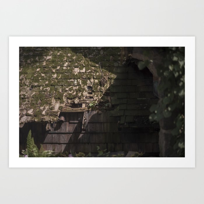 suburban decay art print