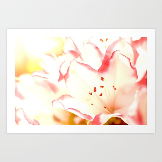 Dreamy Flowers Art Print