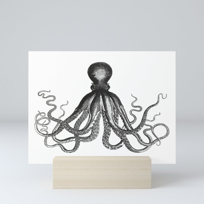 Octopus | Vintage Octopus | Tentacles | Black and White | Mini Art Print