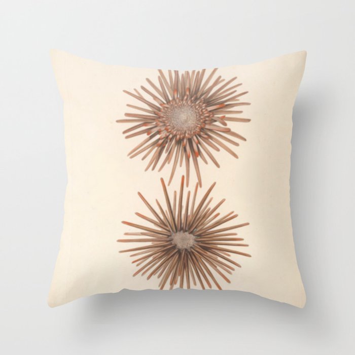 Naturalist Sea Urchins Throw Pillow