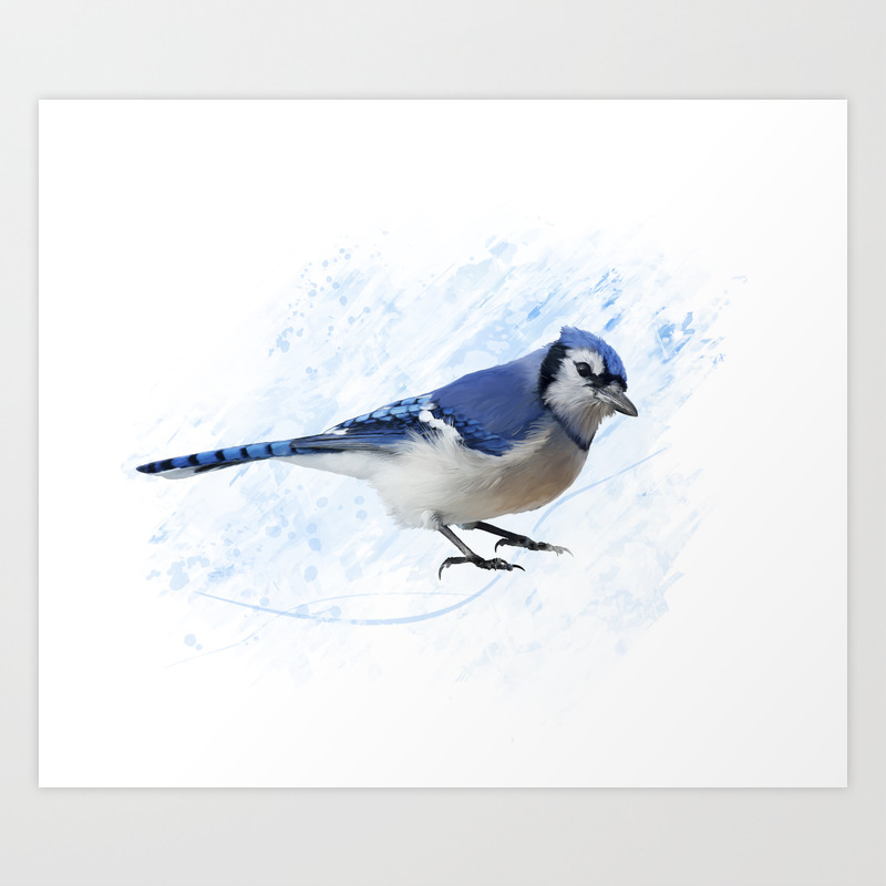 Digital Painting Of Blue Jay Art Print By Svetlanna Society6