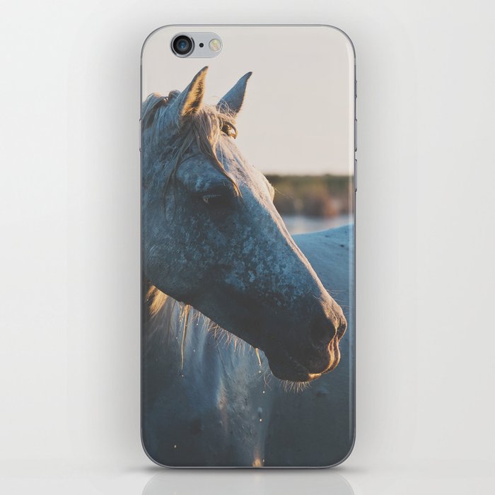 a horse in portrait ... iPhone Skin