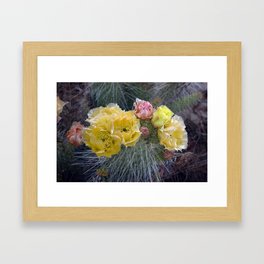 Desert Cactus Framed Art Print