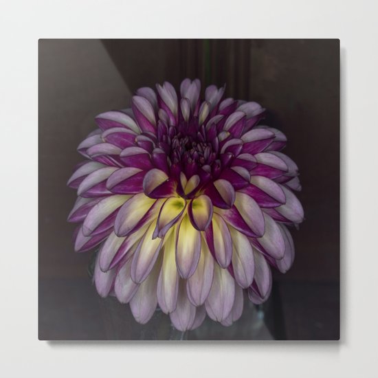 Flower glow Metal Print