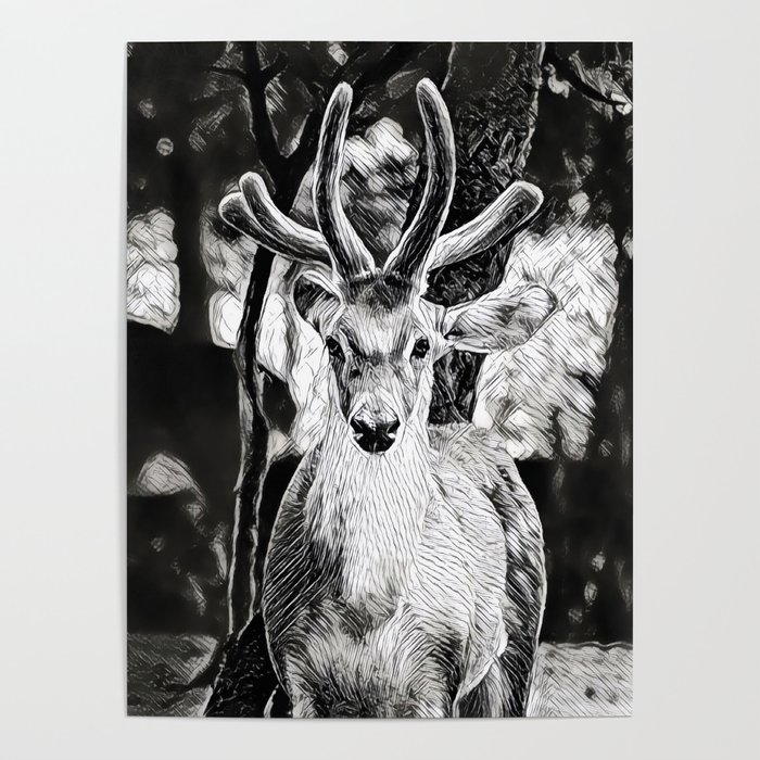 Spot Me - Realistic Deer Drawing Poster