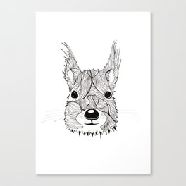 Squirrel sketch Canvas Print